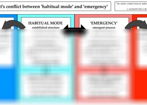 The Client's Conflict between 'Habitual Mode' and 'Emergency'